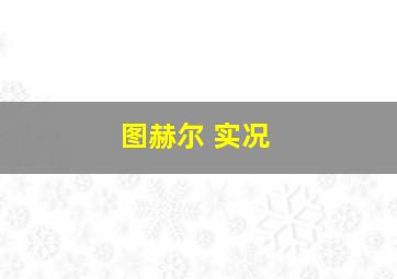 图赫尔 实况